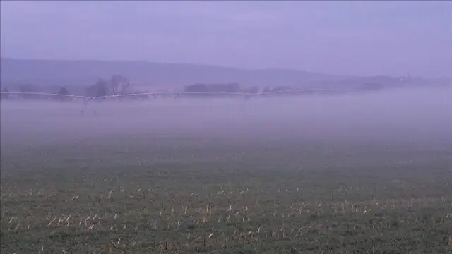 A field with fog rolling in the background.